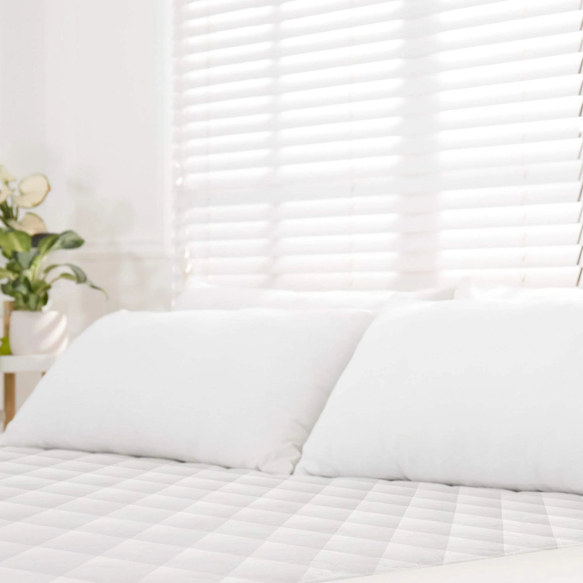 Whisper Organics 100% Cotton Organic Mattress Protector, 500TC Mattress Pad, Twin size, White