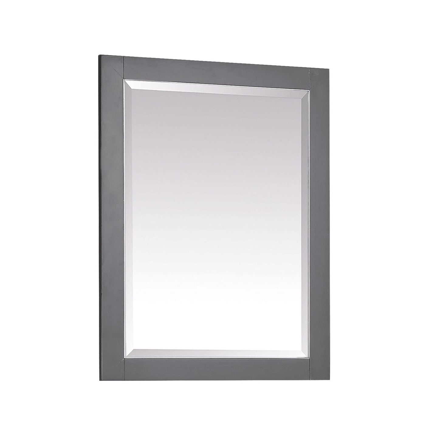 Avanity 170512-M24 Allie/Austen 24" W X 32" H Contemporary Rectangular Framed Bathroom