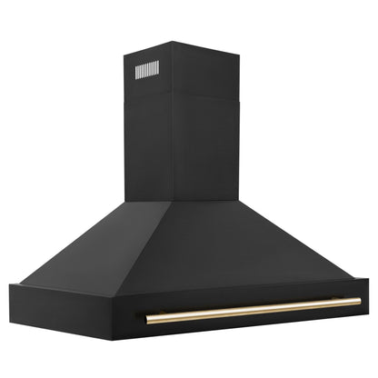 ZLINE KITCHEN AND BATH BS655Z48G ducted hood