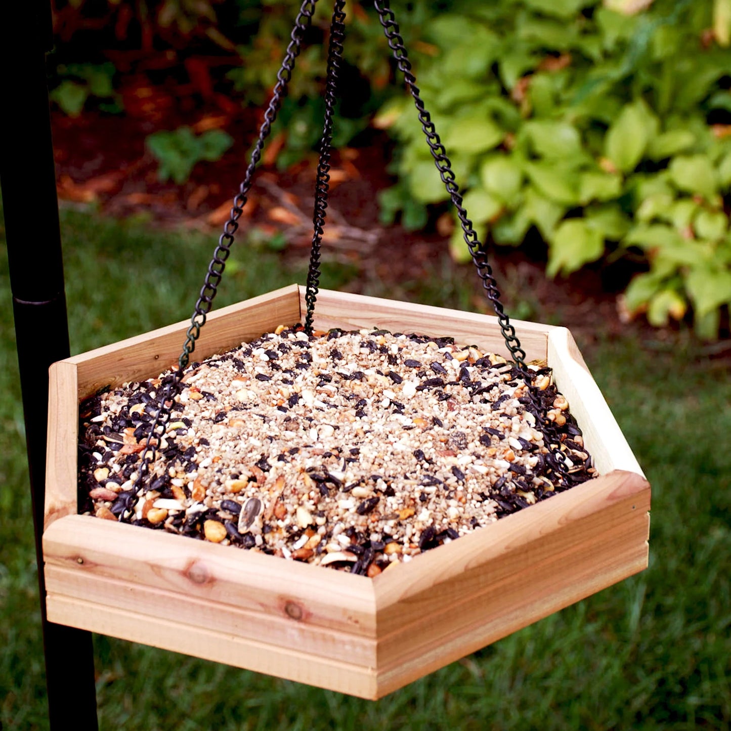Pennington Red Cedar 2 in 1 Wild Bird Bath and Wild Bird Feeder, 4 lb. Capacity