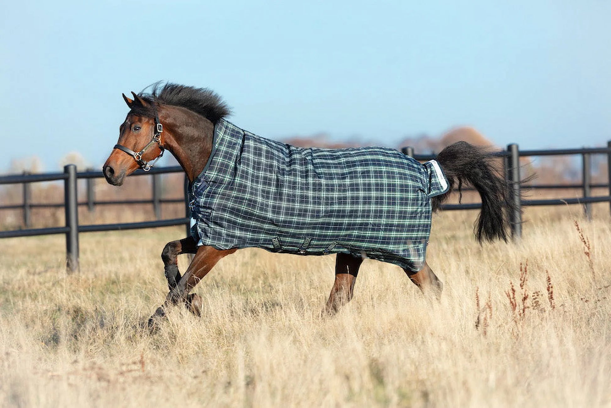 Rhino Wug Turnout Blanket 100g 81 Hunter Check